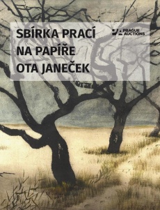 SBÍRKA PRACÍ NA PAPÍŘE | OTA JANEČEK