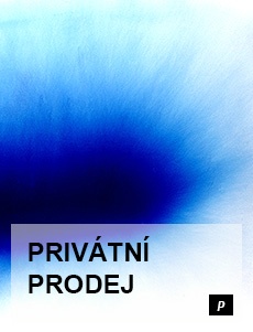 PRIVÁTNÍ PRODEJ