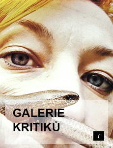 GALERIE KRITIKŮ