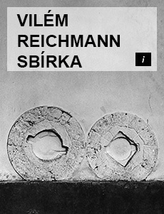 VILÉM REICHMANN SBÍRKA