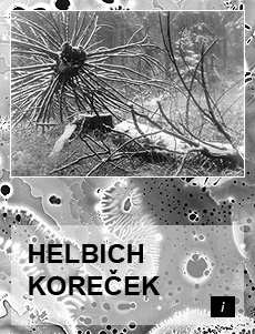HELBICH - KOREČEK FOTOGRAFIE