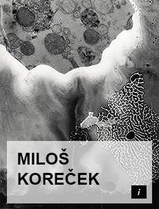 MILOS KORECEK TOP PHOTOGRAPHY