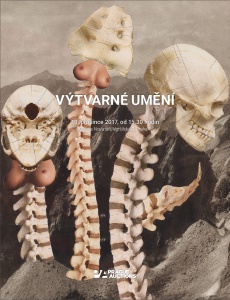 VÝTVARNÉ UMĚNÍ