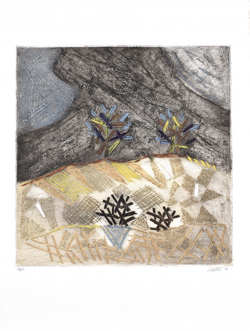 Terre á cactées
