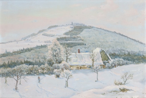 Zimní krajina