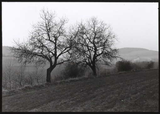 Z cyklu Čechy - krajina