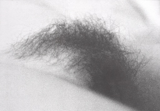 Vlna I.