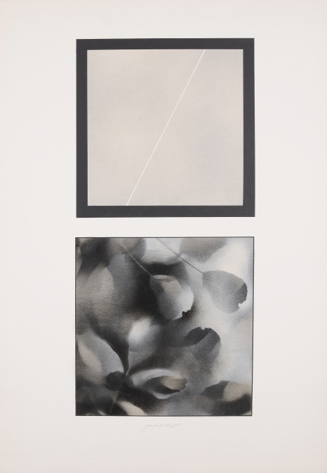 Geometrie - příroda