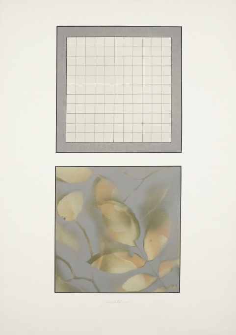 Geometrie - příroda