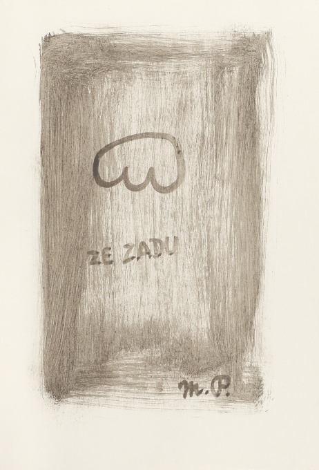 Ze zadu