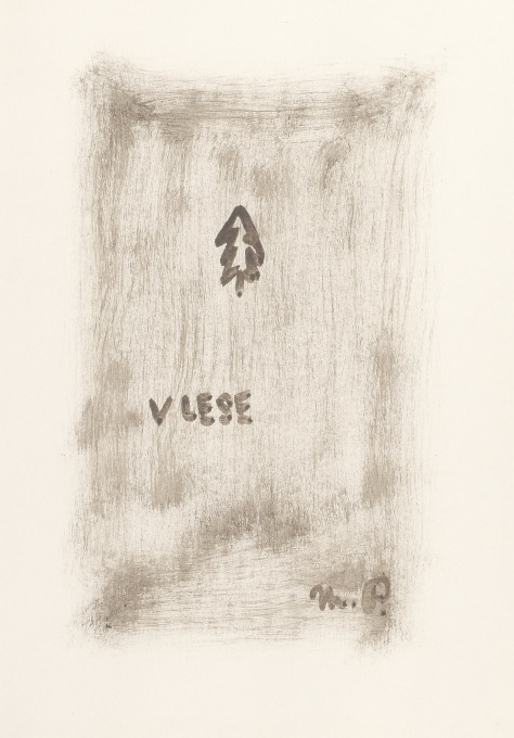 V lese