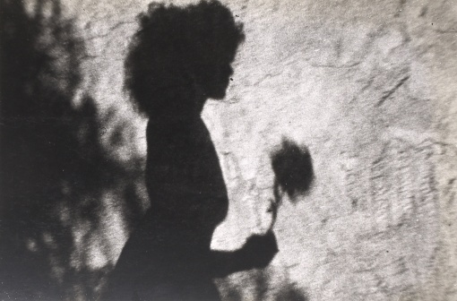 Meshes of the afternoon