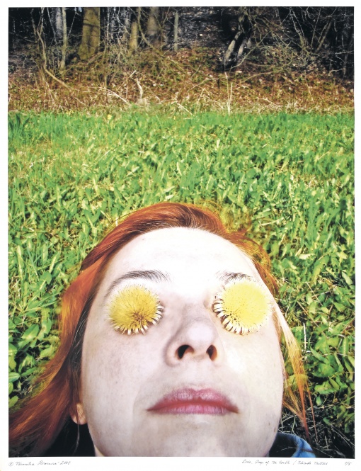 Z cyklu den Země, Blinde Thistles