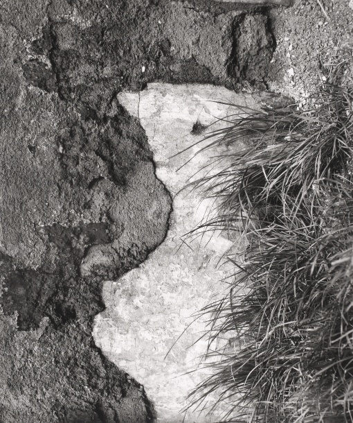 Křik