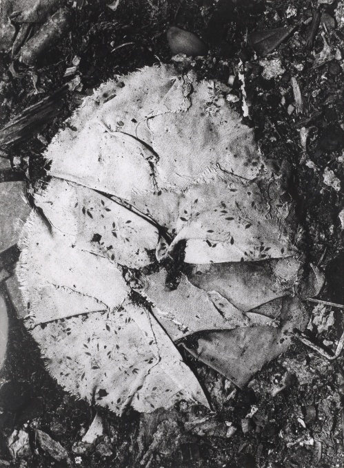 Struktura I.