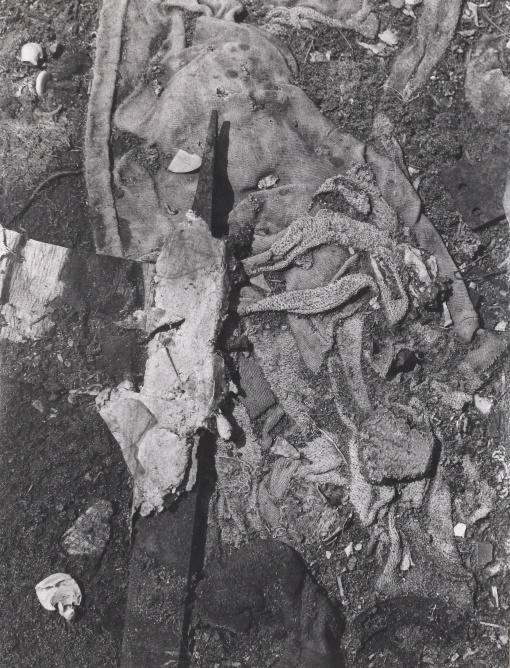 Struktura II.