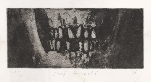 Fragment lebky