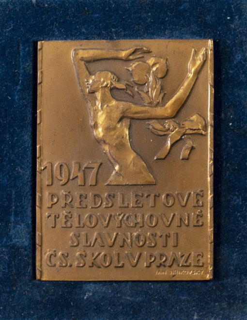 Předsletové tělovýchovné slavnosti ČS. škol v Praze