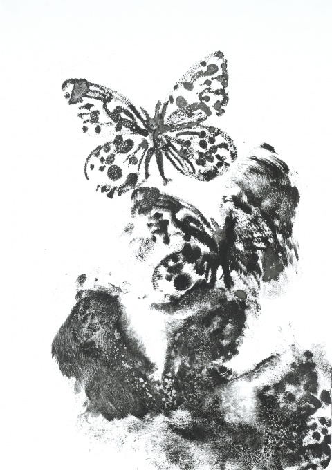 Hra motýlů