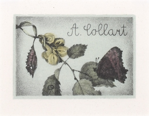 A. Collart