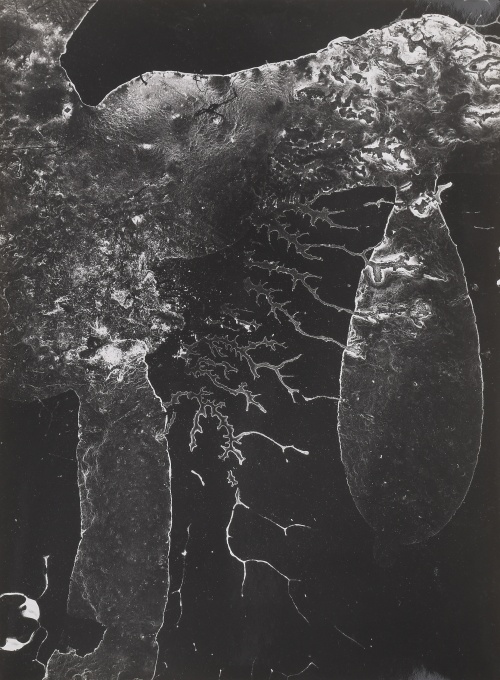Struktura IV.