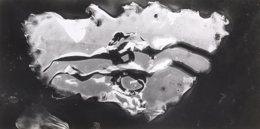 Struktura II.