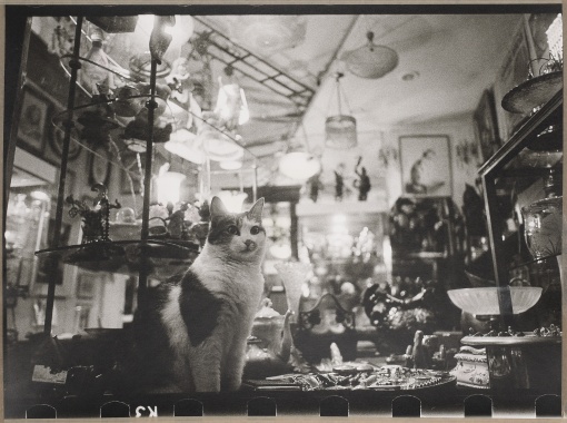 Brocante