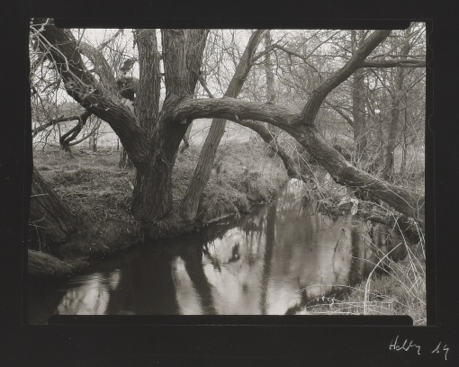 Meandr