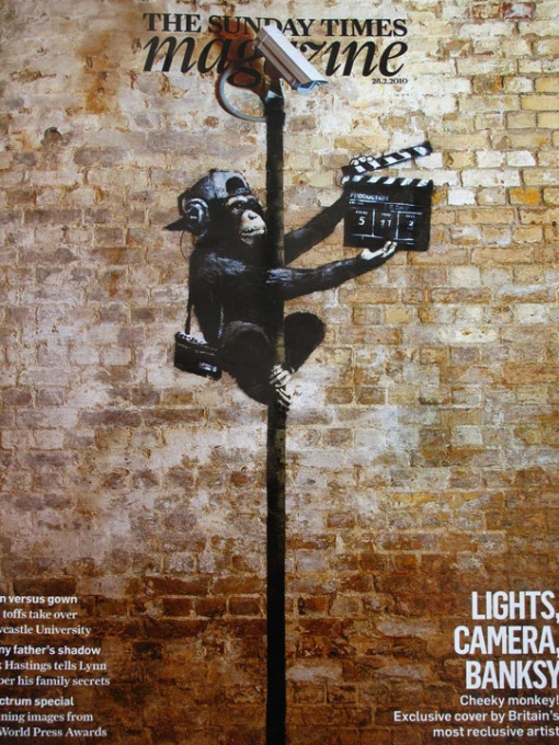 Monkey Making a Movie