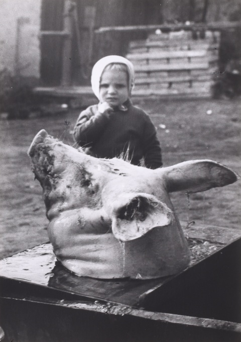 Chrochtík