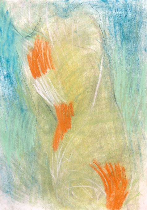 Žena Harlekýn
