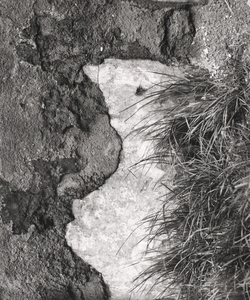 Křik
