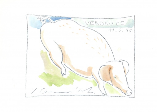 Veronice