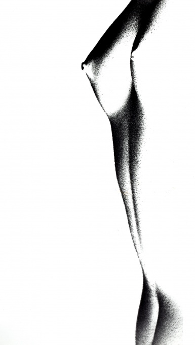 Torso