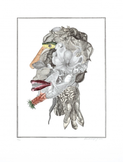Arcimboldeskní hlava
