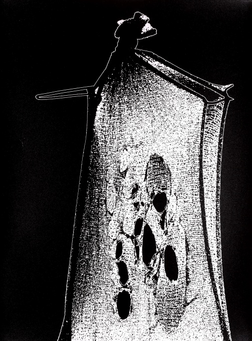 Poutník - Pilgrim