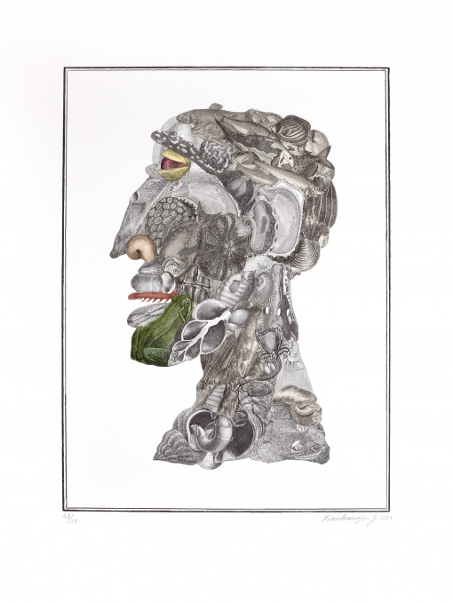 Arcimboldeskní hlava