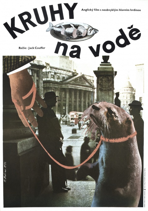 Kruhy na vodě