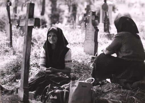 Les Vivants