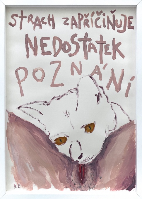 Poznání