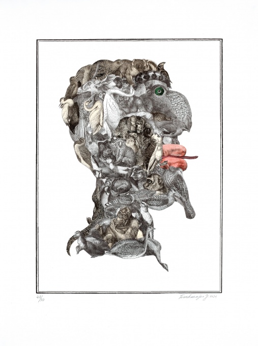Arcimboldeskní hlava