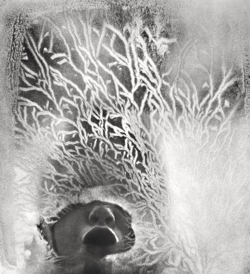 Fotografie 1928 - 1958