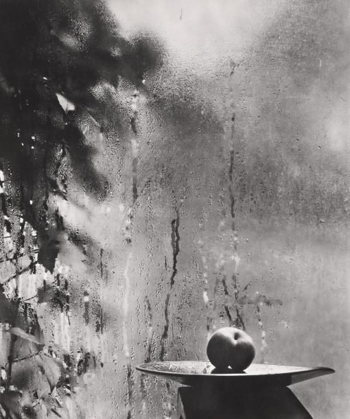 Fotografie 1928 - 1958