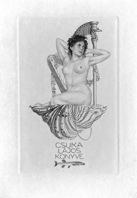 Csuka lajos konyve