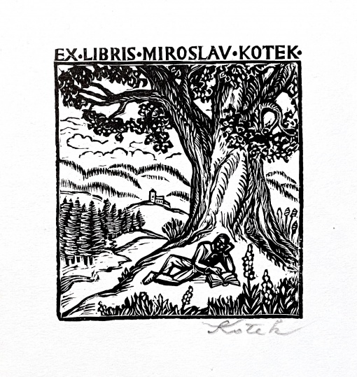 Konvolut, 15 ks