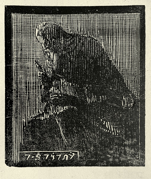 Moudré to stáří