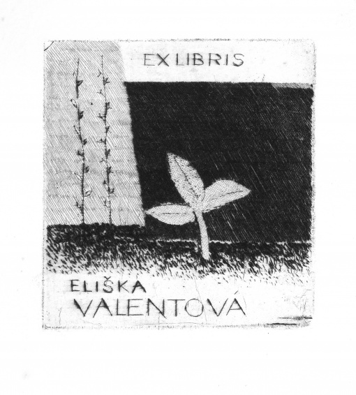 Exlibris Eliška Valentová