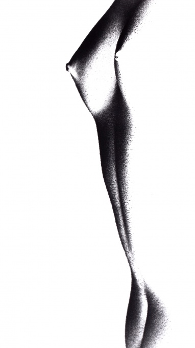 Torzo