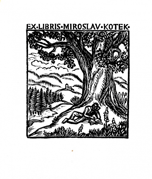 Konvolut, 16 ks