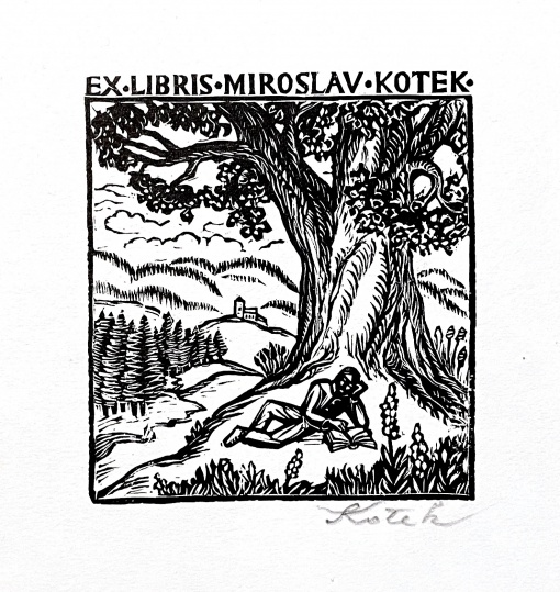 Konvolut, 15 ks